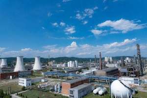 Chimcomplex Borzeşti trece pe pierderi în primele nouă luni, cu un rezultat negativ de 87,8 milioane lei